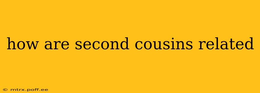 how are second cousins related