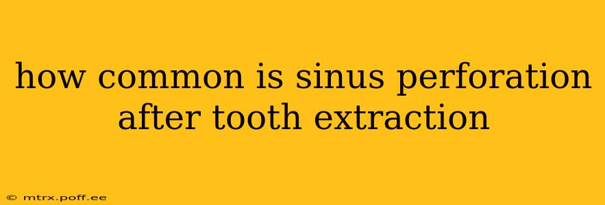 how common is sinus perforation after tooth extraction