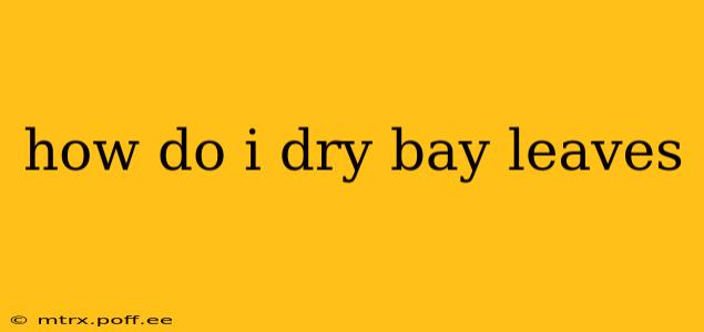 how do i dry bay leaves