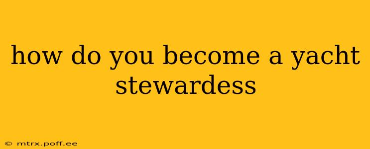 how do you become a yacht stewardess