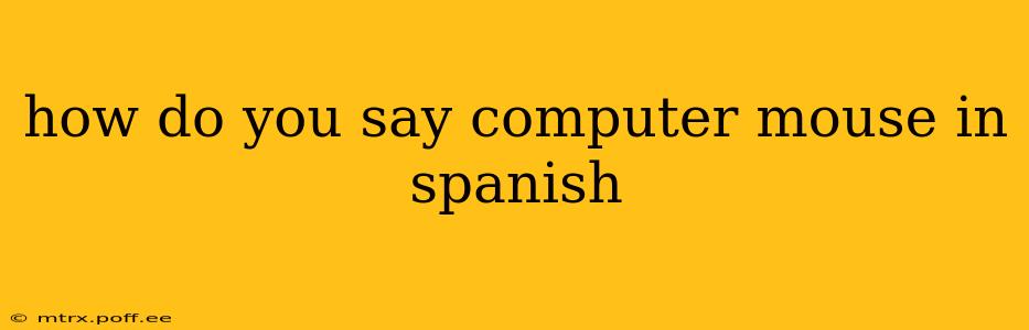 how do you say computer mouse in spanish