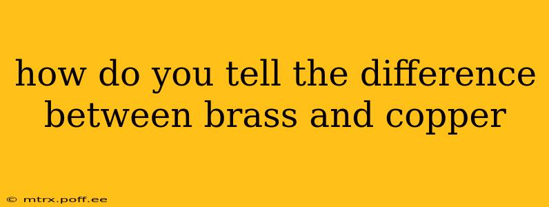 how do you tell the difference between brass and copper