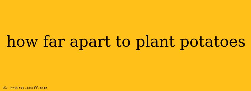 how far apart to plant potatoes