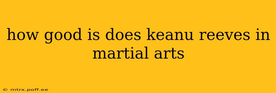 how good is does keanu reeves in martial arts