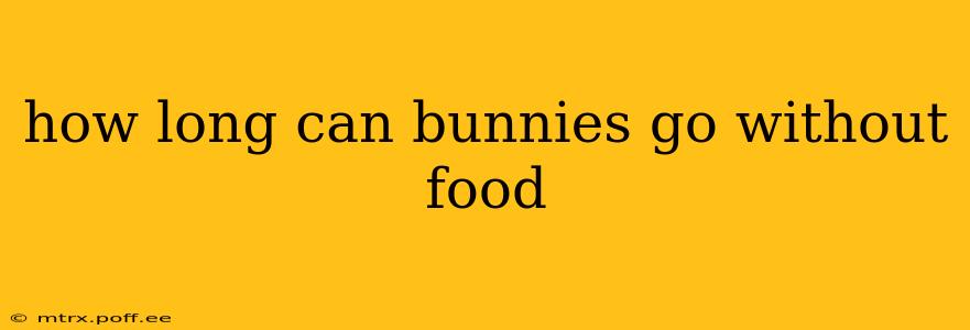 how long can bunnies go without food