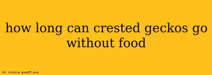 how long can crested geckos go without food