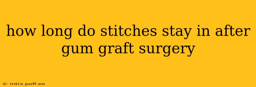 how long do stitches stay in after gum graft surgery