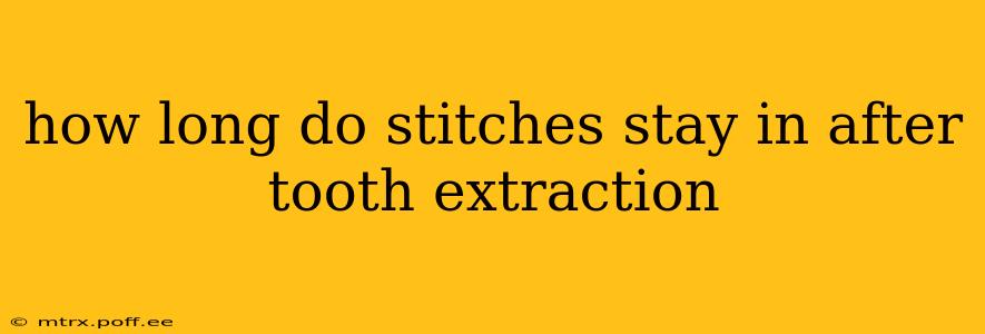 how long do stitches stay in after tooth extraction