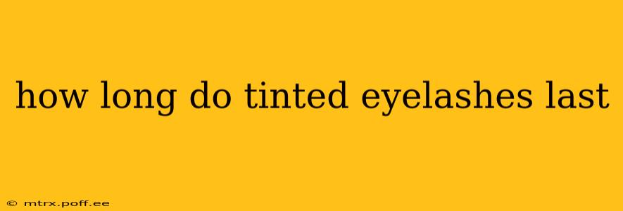 how long do tinted eyelashes last