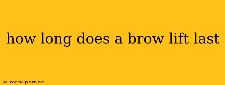 how long does a brow lift last
