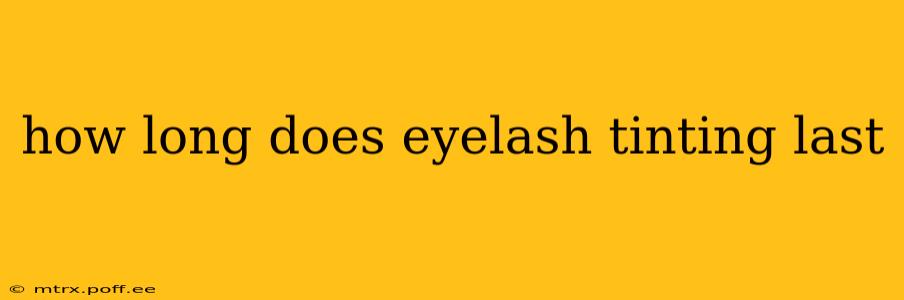 how long does eyelash tinting last