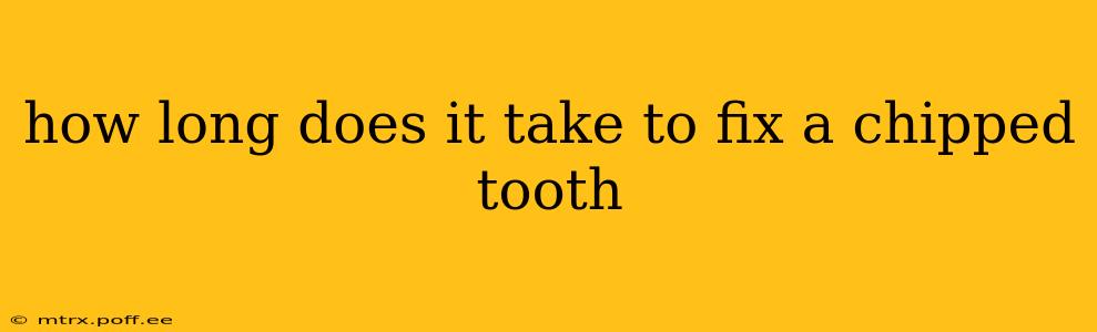 how long does it take to fix a chipped tooth