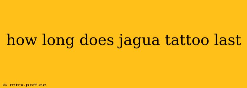 how long does jagua tattoo last