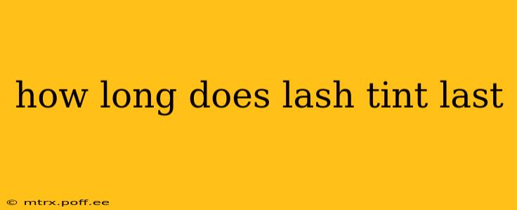 how long does lash tint last