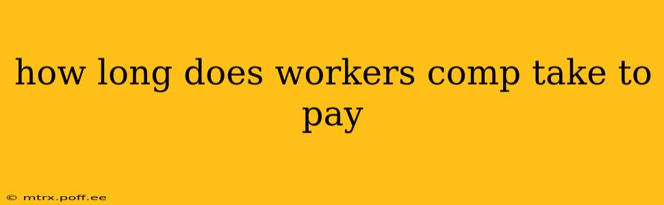 how long does workers comp take to pay