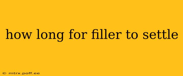 how long for filler to settle