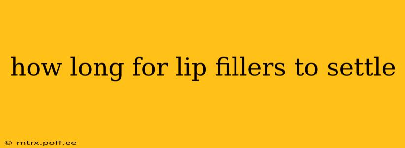 how long for lip fillers to settle