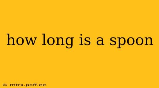 how long is a spoon