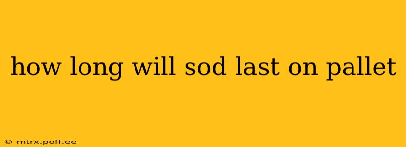 how long will sod last on pallet