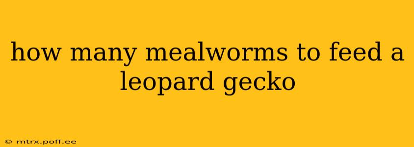how many mealworms to feed a leopard gecko