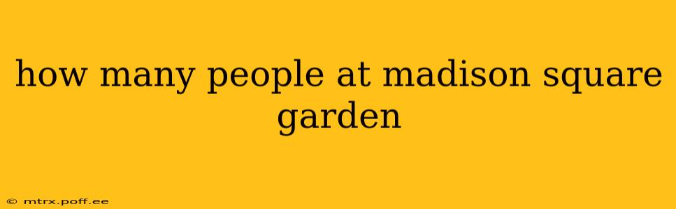 how many people at madison square garden