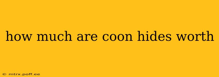 how much are coon hides worth