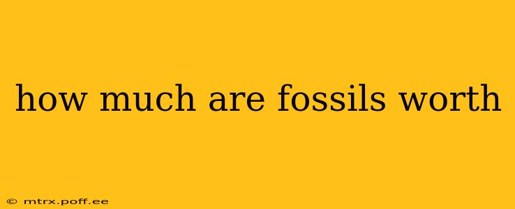 how much are fossils worth