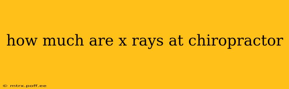 how much are x rays at chiropractor