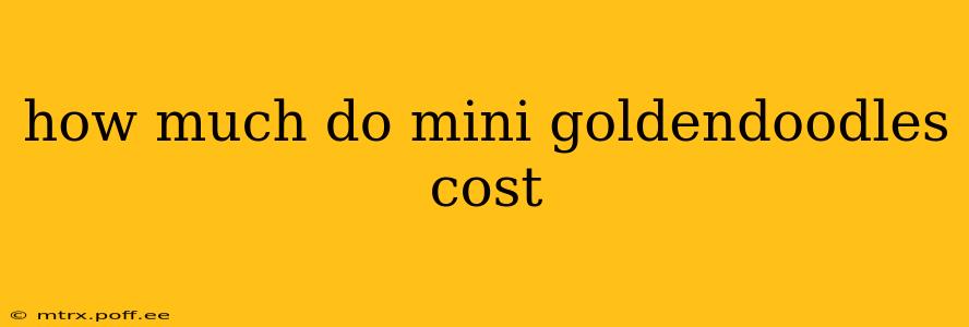 how much do mini goldendoodles cost