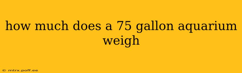 how much does a 75 gallon aquarium weigh