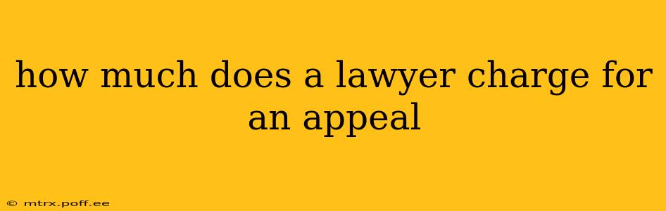 how much does a lawyer charge for an appeal