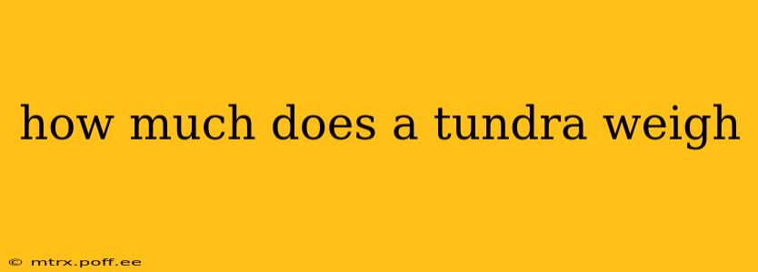 how much does a tundra weigh