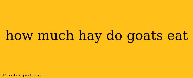 how much hay do goats eat