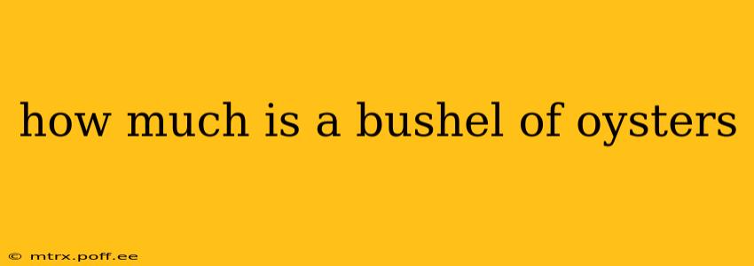 how much is a bushel of oysters
