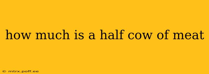 how much is a half cow of meat
