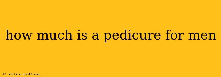 how much is a pedicure for men