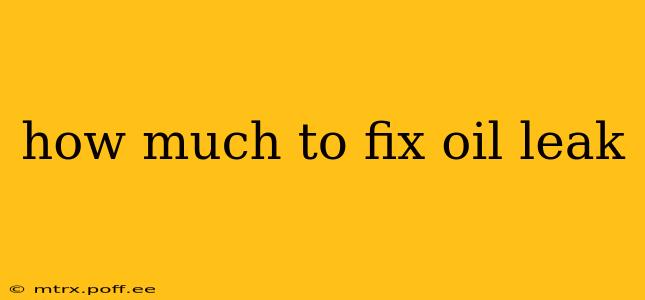 how much to fix oil leak