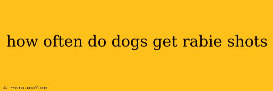 how often do dogs get rabie shots