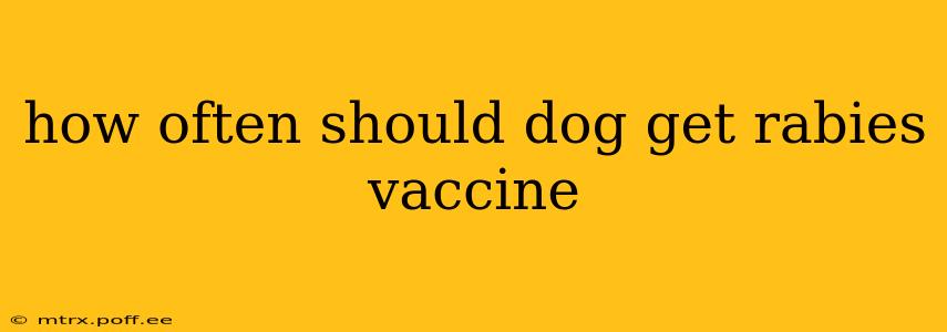 how often should dog get rabies vaccine