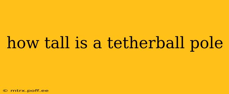 how tall is a tetherball pole
