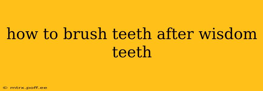 how to brush teeth after wisdom teeth