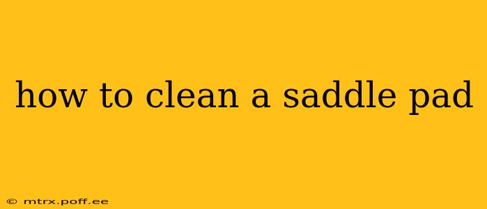 how to clean a saddle pad
