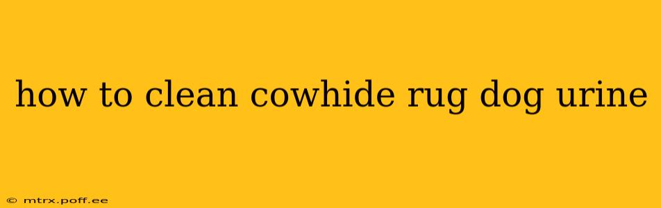 how to clean cowhide rug dog urine