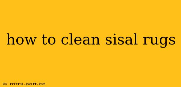 how to clean sisal rugs