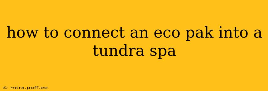 how to connect an eco pak into a tundra spa
