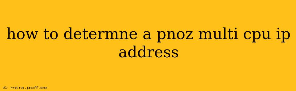 how to determne a pnoz multi cpu ip address