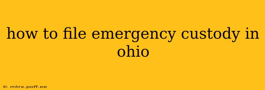 how to file emergency custody in ohio