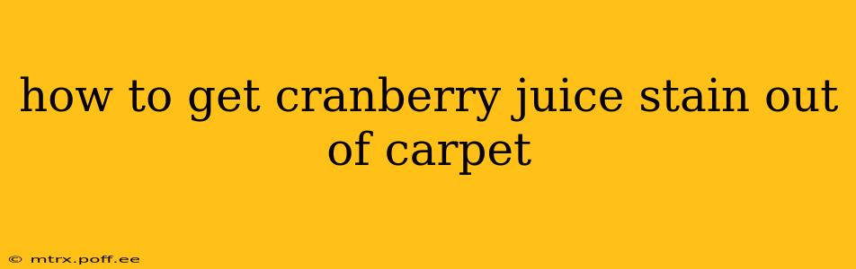 how to get cranberry juice stain out of carpet
