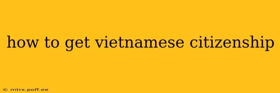 how to get vietnamese citizenship