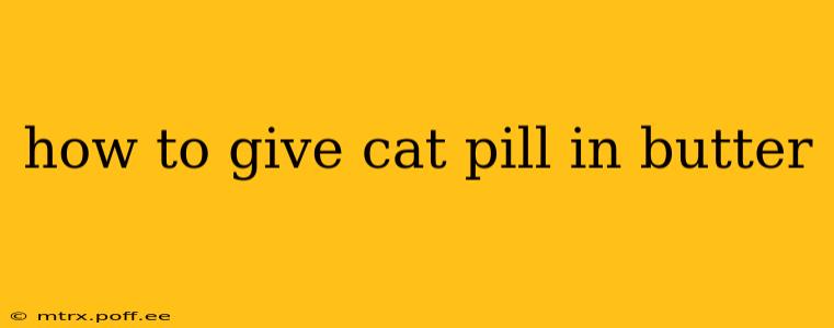 how to give cat pill in butter